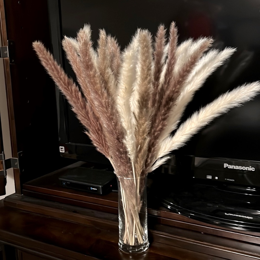 Pampas grass